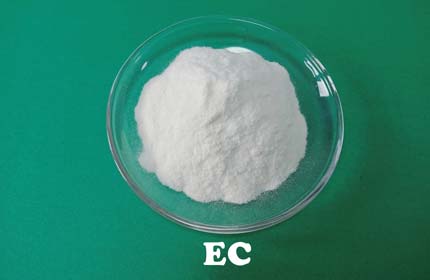 Etil Celulose (EC)