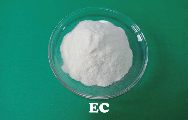 Etil Celulose (EC)