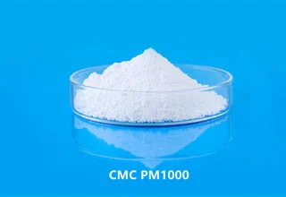 CMC PM1000